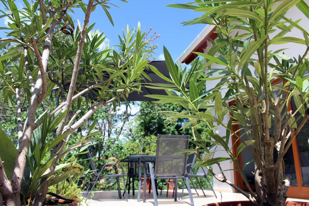 Fuege Vendeghaz Sajkod Villa ตีฮานี ภายนอก รูปภาพ